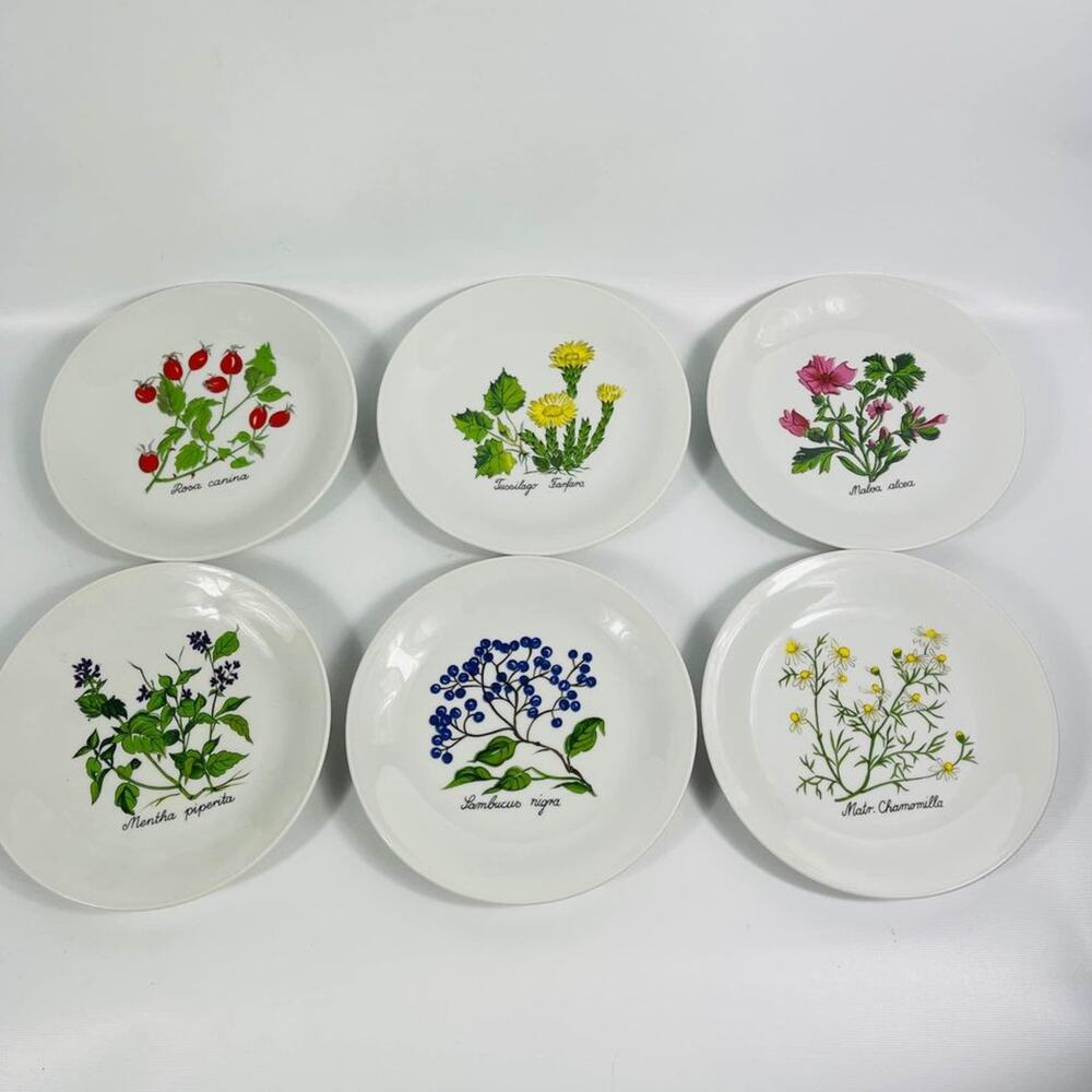 Seltmann Weiden Bavaria W Germany Porcelain 7.5” Plates  Botanical